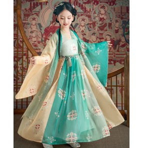 Children's Hanfu costume princess dresses Chinese style skirt big sleeve shirt girl empress dress ancient costume fairy Tang suit