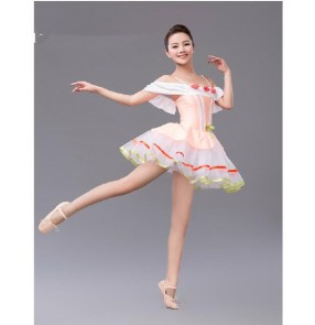 Girls children adult tutu skirt leotard ballet dance dress